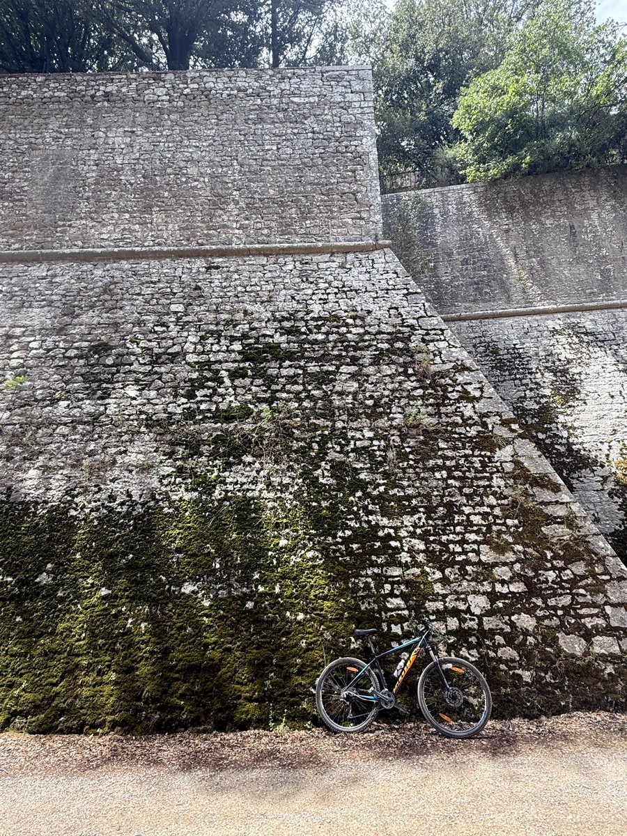 Eggorian's tweet photo. Rode a bike in Italy today. Life is good. https://t.co/VZCXUW4GFm