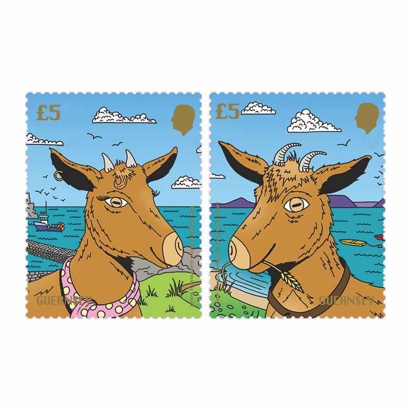 guernseystamps's tweet photo. Our latest definitive stamps depicting the Royal Golden Guernsey Goat are available to preorder now and feature two kids goats - meet Nanny and Billy the Kid!
The Royal Golden Guernsey Goat is a rare dairy breed native to the island of Guernsey and instantly recognisable by its striking appearance. Its coat ranges from pale blonde to rich bronze, giving the breed its distinctive golden hue. 
Long‑haired and elegant, Royal Golden Guernseys may also display a small white marking on the head. Smaller and more finely boned than many British milking goats, they are known for their friendly temperament, slender necks and characteristically upturned ears.
To find out more about these stamps, please visit https://t.co/2yYhkMQSoK