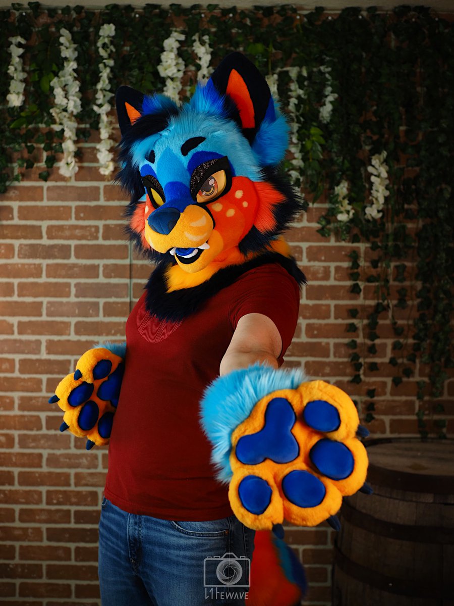 PinkusCottage's tweet photo. Curacao is all done and looking for a home this weekend at Anthrocon!!! 

Come see us in the den. https://t.co/Sam6vXclqG