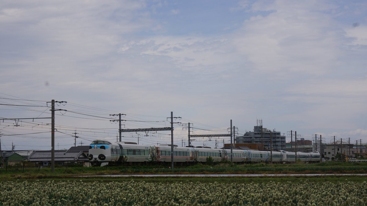 HANWA2252's tweet photo. パンダくろしお サステナブルSmileトレイン
運行終了の発表からラストランまで記録した写真です。

約6年間、本当にありがとう。 https://t.co/FOqMzdzZup