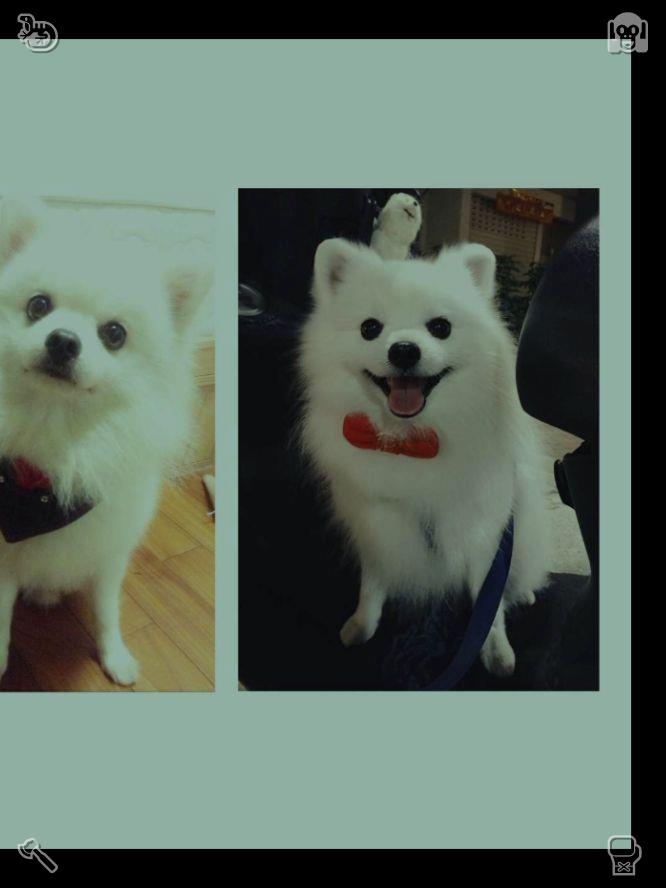 maruepan's tweet photo. Clara 呼吸一紧，喜悦与爱的泪水夺眶而出。“我也爱你，Eli，”她声音颤抖地说道，“我爱你很久了，只是之前不知道该如何开口。但现在我说了。我🎄生产车间晨间情况：计划明确，工作已准时开始！ https://t.co/YkESlIrYCR