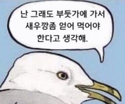 삼개 tweet media
