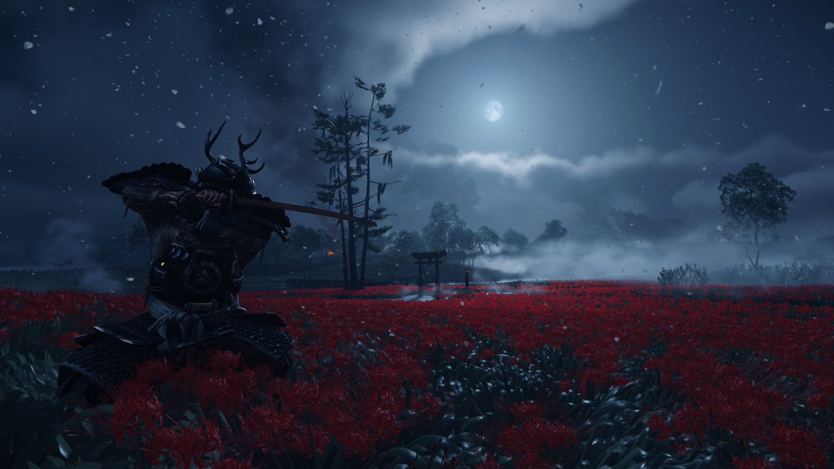 yonesxo's tweet photo. #GhostOfTsushima #DirectorsCut #Photomode #VP #VirtualPhotography https://t.co/Itu0wOLUm4