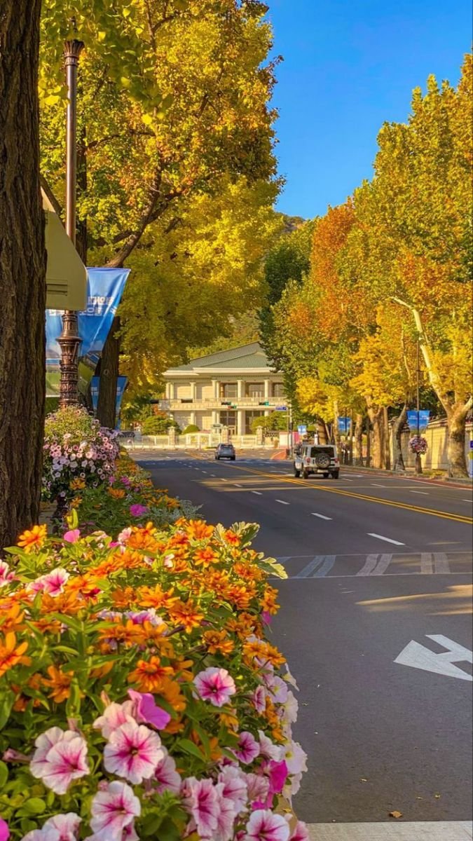 beautyexplorer0's tweet photo. Souel, Korea https://t.co/D20dIq4831