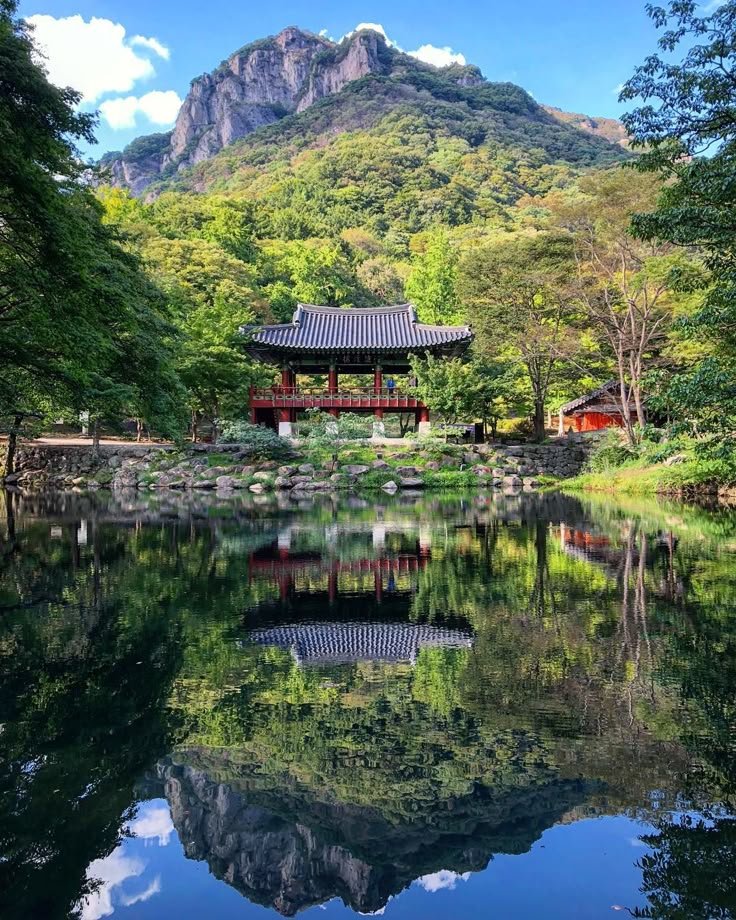 beautyexplorer0's tweet photo. Souel, Korea https://t.co/D20dIq4831