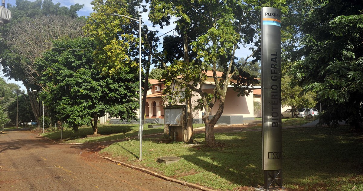BibliotecaCQ's tweet photo. O #Biotério de @usprp celebra 70 anos, produzindo cerca de 30 mil #roedores anualmente com alto padrão sanitário para abastecer #pesquisas #científicas essenciais em diversas áreas, incluindo o desenvolvimento de novos #fármacos e #estudos #químicos.
https://t.co/q6z1S0SnJp https://t.co/ac23ivfkUo