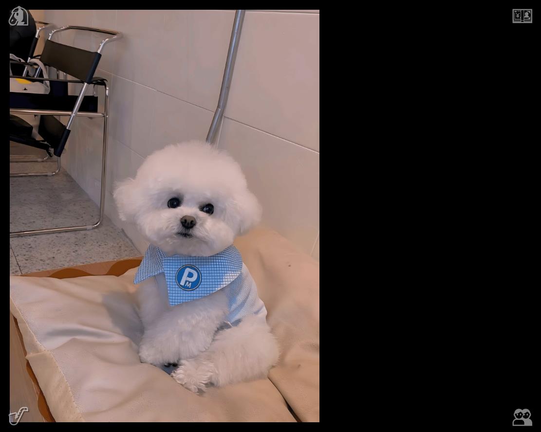 Elizbb1's tweet photo. 每一次成功挑战游乐项目的经历都能���强自信与勇气。闲暇时光中的小小突破为日常生活带来了积极的启示。💜时尚条纹袜 https://t.co/f8IdKtX4Xk