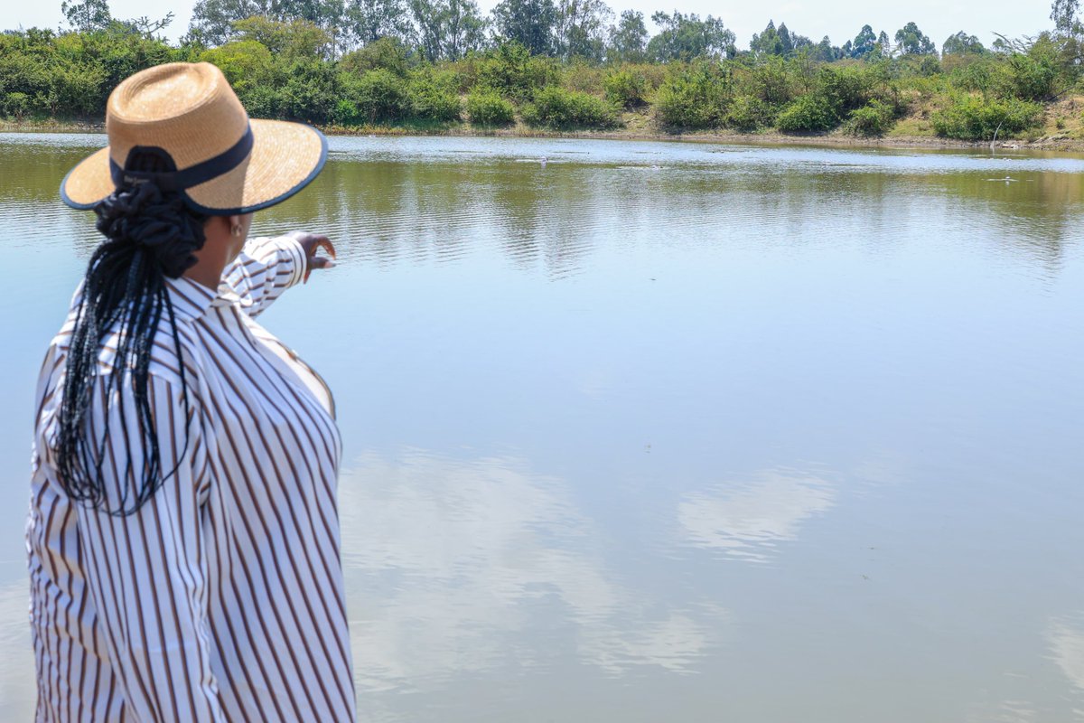 Wavinya_Ndeti's tweet photo. My administration is investing in sustainable water infrastructure to improve livelihoods and strengthen climate resilience.

Maluva Dam in Sengani continues to support surrounding communities by providing water for domestic use, livestock, and agriculture.

The dam was desilted and stocked with fish, laying the foundation for aquaculture and creating future income-generating opportunities once fishing activities are fully launched.

To safeguard these gains, the dam will be fenced to ensure its protection and promote safe, sustainable use for the benefit of the community.