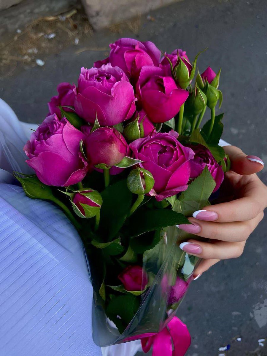 abuanwer18's tweet photo. يقال...
أكثرهم حباُ، هم أَقَلهُم لِقَاءٍ، وأَقَلهُم لِقَاءٍ ، أَشدُهُم اِشتِيَاقاً .. https://t.co/XEQiXCXN7U
