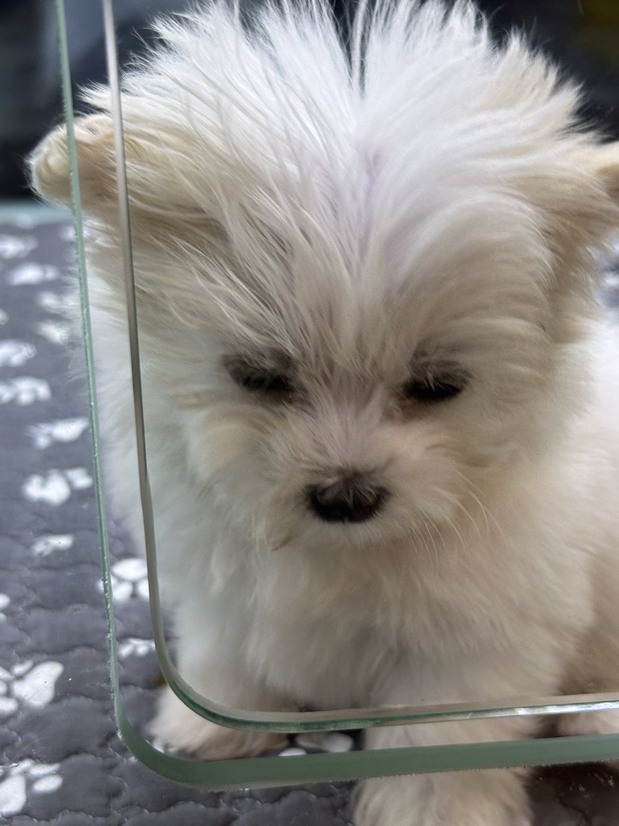 minoffn's tweet photo. https://t.co/Cdqt0xOILs