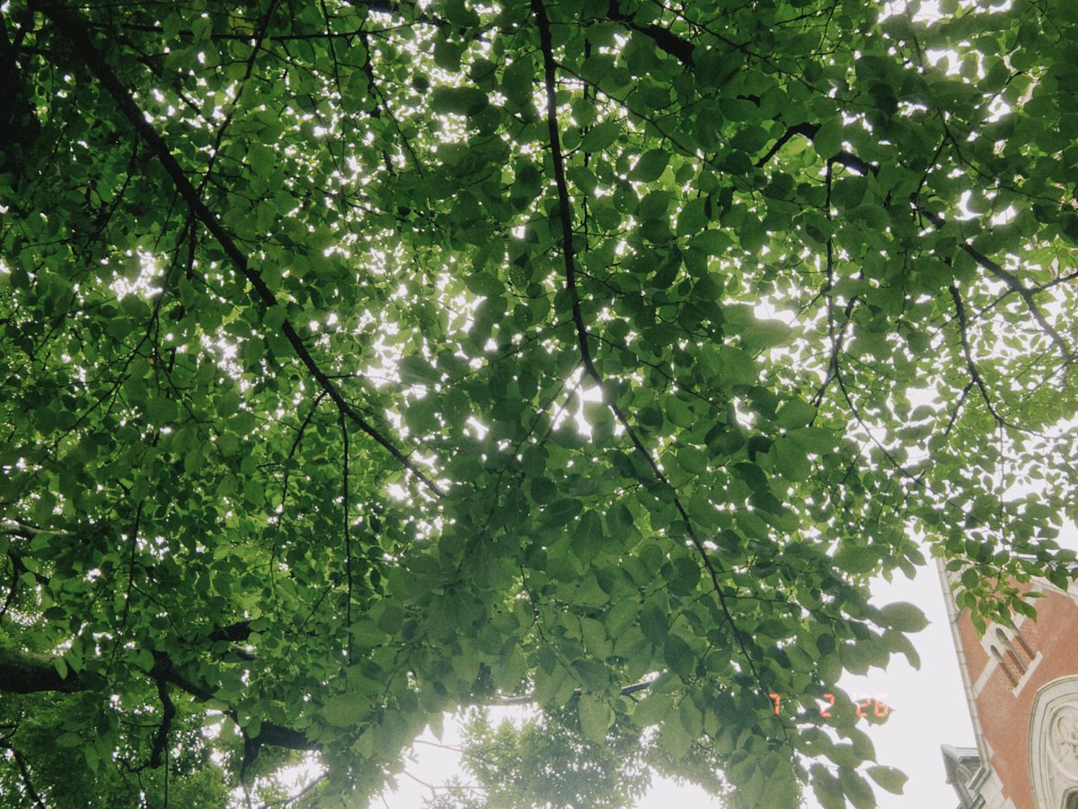 colstrains002's tweet photo. 2026/07/02 https://t.co/rUYf4F1r05
