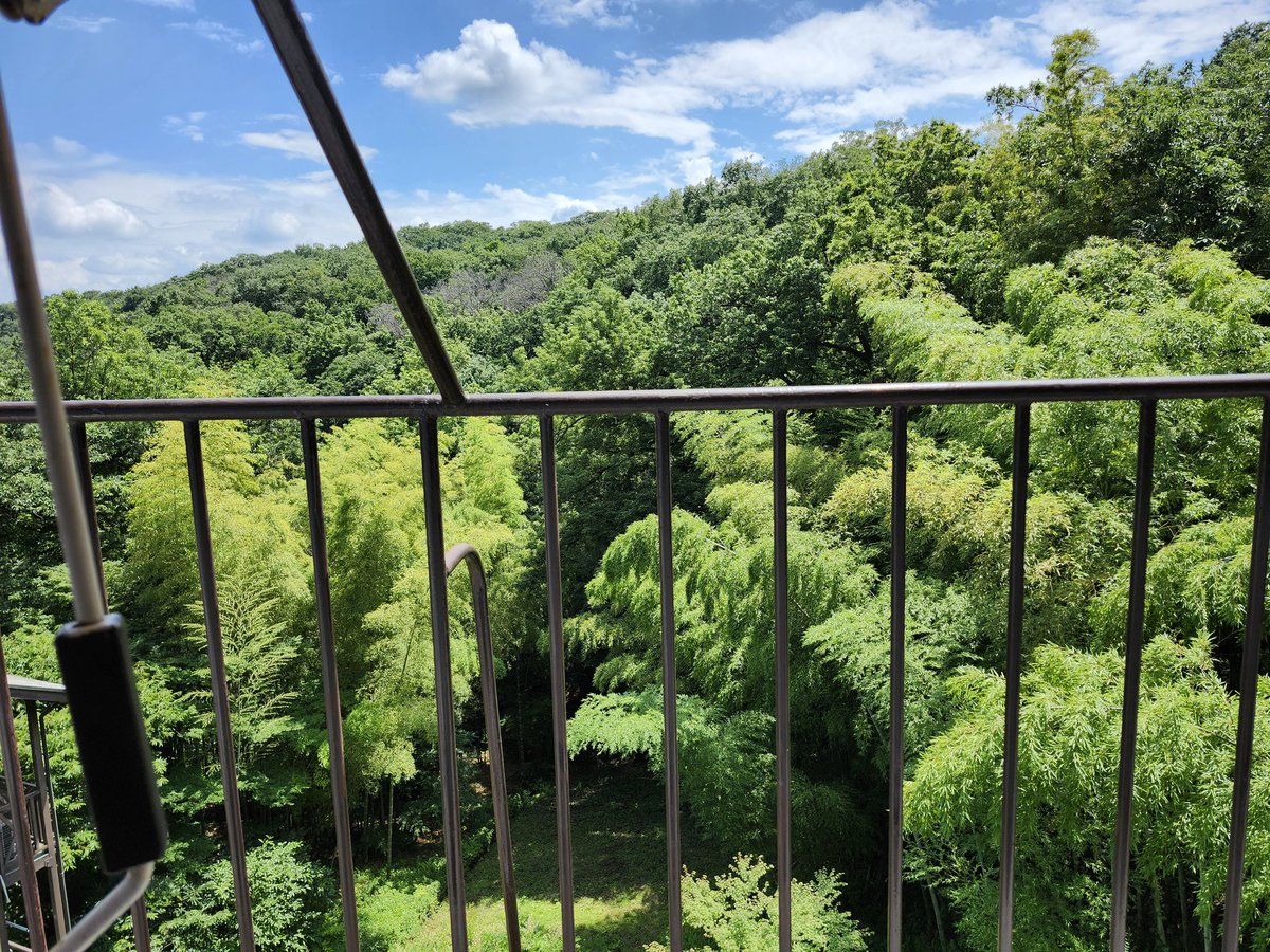 Hideki5931's tweet photo. 高崎観音山。ところてんとラムネをいただく。緑が濃い風景は見ているだけで気持ちいい。 https://t.co/yobxl73jl9