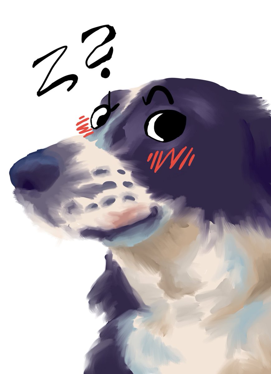SOLO_wolfyboi's tweet photo. ζ? https://t.co/SU80DP1r6l