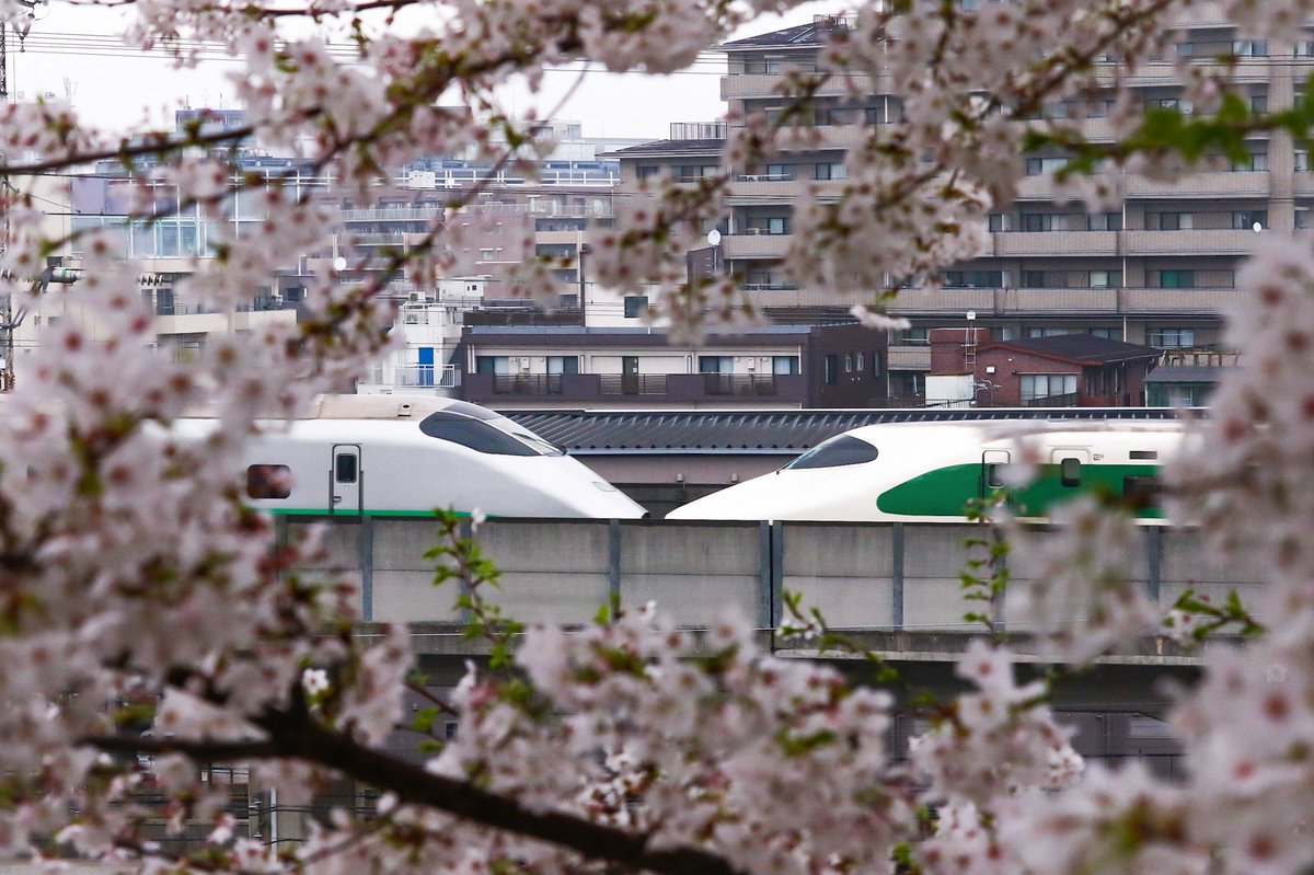n_a_18_'s tweet photo. ついに銀つばにもこの時が来たんですね。追いかけていて楽しい時ばかりではありませんでしたが今となってはそれもいい思い出です。復活してくれて本当にありがとうございました。 https://t.co/H2kHbLOvEv