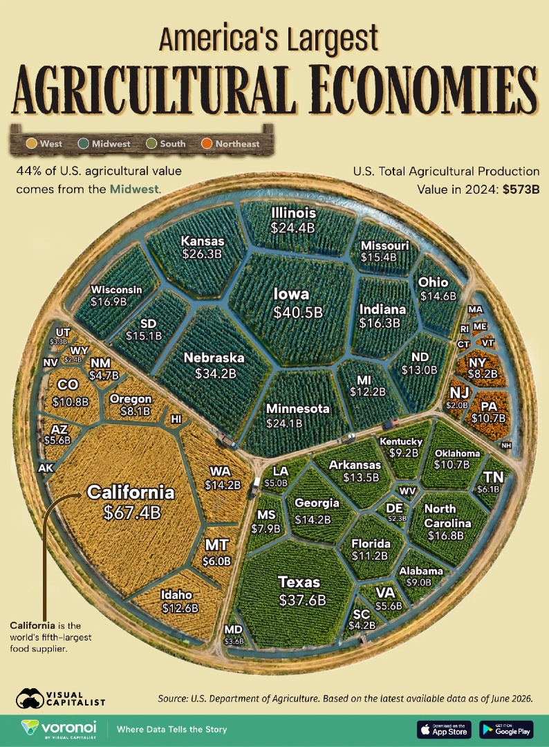 VisualCap tweet picture