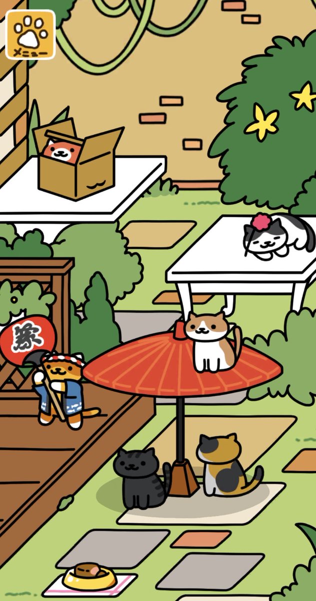 aitake9366ken's tweet photo. #おまつりさん 
#ふぉとさん 
#ねこあつめ2にわさき紹介 https://t.co/RC2gmixpNP