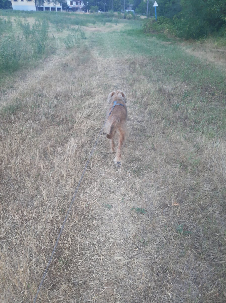 chantalia's tweet photo. Als de omgeving zich aan jou aanpast... #schutkleur https://t.co/jXfNIp8chZ