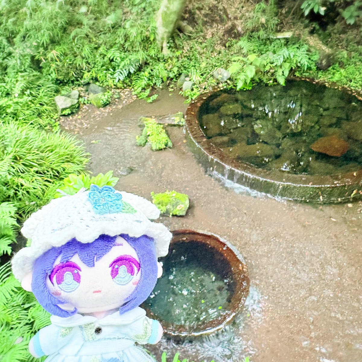 M__uy_'s tweet photo. #まふぬいといっしょ 🌳🍃 https://t.co/kR3hCf5DSi