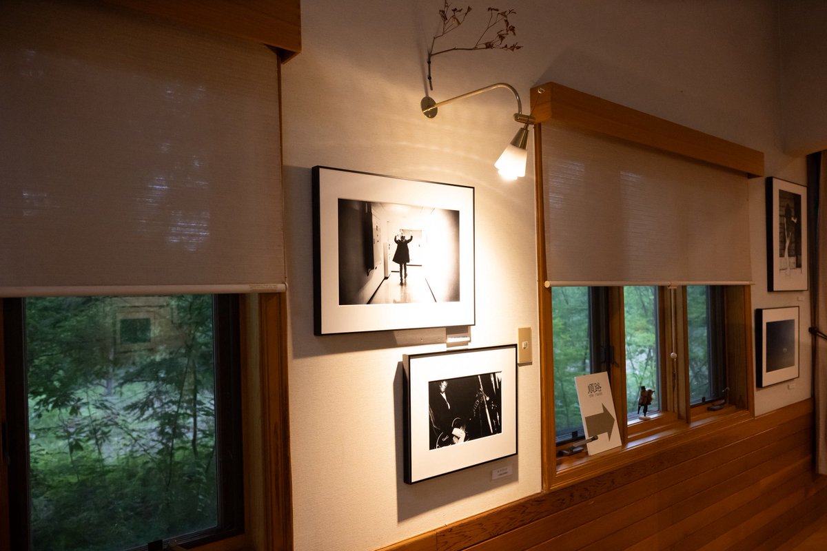 ishii_maki's tweet photo. いよいよ明日から！

長野では初開催✨
安曇野の絵本美術館 森のおうちにて🌲

「みんな、おかえり。」
いせひでこ絵本原画展 / 石井麻木写真展

7/3（金）〜9/28（月）
9:30〜17:00（最終日は13:00まで）
※木曜休館

在廊予定日：7/3・9/12・9/13

森の中でお待ちしています🐕🐕

#石井麻木写真展 https://t.co/ZDWCkxY256