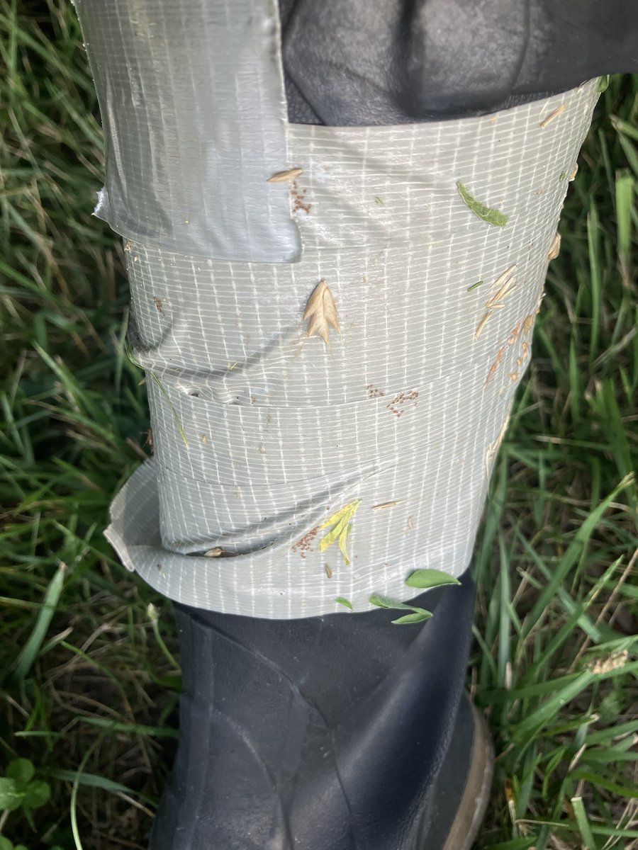 MollyCohn's tweet photo. my ankles look like this so that his ankles can look like this https://t.co/288D4ZbiIU