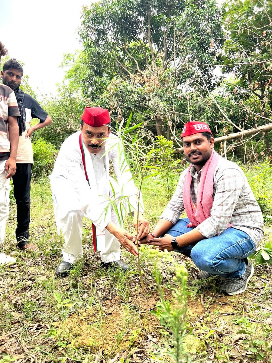 PrashoonKumar2's tweet photo. समता मूलक समाज के मानव मूल्यों की स्थापना हेतु,सामाजिक न्याय का राज स्थापित हो एवं प्रदूषण मुक्त भारत हो इसलिए 01 जुलाई 2026 से समाजवादी पार्टी के राष्ट्रीय अध्यक्ष माननीय श्री @yadavakhilesh जी के जन्मदिन के दूसरे दिन भी वृक्षारोपण किया। https://t.co/VeP4Lzw6nb