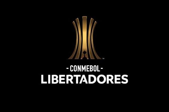 fant28035's tweet photo. @David_Kaiyali Bienvenido a la hermosa copa libertadores https://t.co/18uZCimvG4