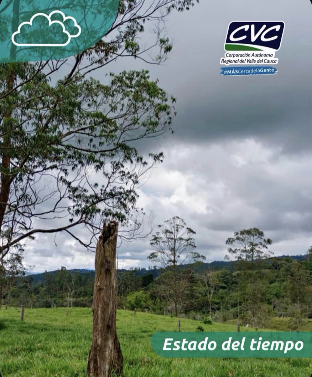 CvcAmbiental's tweet photo. Condiciones atmosféricas inestables asociadas a un sistema de baja presión y el flujo húmedo del Pacífico se presentan en la región. El potencial de lluvias es de moderado a alto para hoy y mañana.

✅ Región Andina: Se esperan cielos parcialmente cubiertos con periodos de sol y tiempo seco predominante durante el día, acompañados de alta radiación solar. Hacia el final de la tarde y horas de la noche, aumentará la nubosidad con probabilidad de lluvias ligeras a moderadas sectorizadas.
✅ Región Pacífica: Se prevé un ambiente mayormente nublado con lluvias ligeras e intermitentes alternadas con intervalos secos durante el día. En horas de la noche se intensificarán las precipitaciones, siendo de moderada a fuerte intensidad, especialmente sobre el litoral y zonas costeras.
✅ PRONÓSTICO DEL TIEMPO PARA CALI: Se esperan cielos de parcialmente nublados a mayormente cubiertos con predominio de tiempo seco y ambiente cálido durante el día. En horas de la noche aumenta la probabilidad de desarrollo de lluvias moderadas y lloviznas intermitentes.

👉🏼 Pronóstico para mañana:
✅ Región Andina: Se anticipan cielos parcialmente cubiertos con condiciones predominantemente secas y alta sensación térmica diurna. Hacia la noche, el ingreso de humedad favorecerá lluvias de diferente intensidad en zonas de cordillera.
✅ Región Pacífica: Continuará el predominio de nubosidad con lluvias de ligeras a moderadas y periodos de mejora temporal durante el día. En la noche se consolidarán lluvias más organizadas y persistentes, concentradas principalmente sobre el litoral.
✅ PRONÓSTICO DEL TIEMPO PARA CALI: Se prevén cielos con nubosidad variable, alternando periodos secos y soleados en el día con un incremento notable de nubes al final de la jornada. Para la noche, los modelos sugieren un aumento en la inestabilidad, con alta probabilidad de lluvias de diferente intensidad acompañadas de actividad eléctrica aislada.