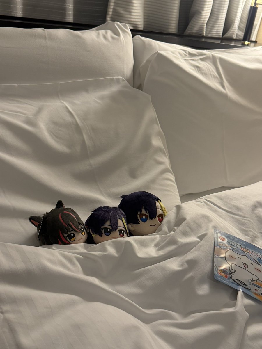 SHIH018's tweet photo. #推し活写メコン 
らおゆたじゃなくてごめんなさい🙇‍♀️←

遠征中のホテルにて、安眠タイム✨ https://t.co/vrYmWbMNp7