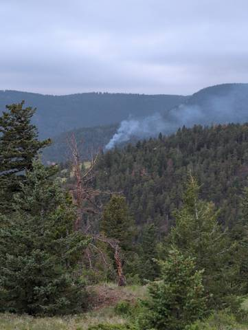 BoulderCAST's tweet photo. NEW FIRE in the Boulder County Foothills 🔥

1-acre smoldering fire in timber. Location is up Fourmile Canyon.

Conditions currently not favorable for much spread. Temp ~50°, very light winds and humidity ~85%. This one *should* be put out quickly. 

We're speculating, but it *could* have started overnight due to lightning around midnight.

More on WatchDuty: https://t.co/xOqcLsd9jm #COwx #COfire #Boulder #FourmileFire
