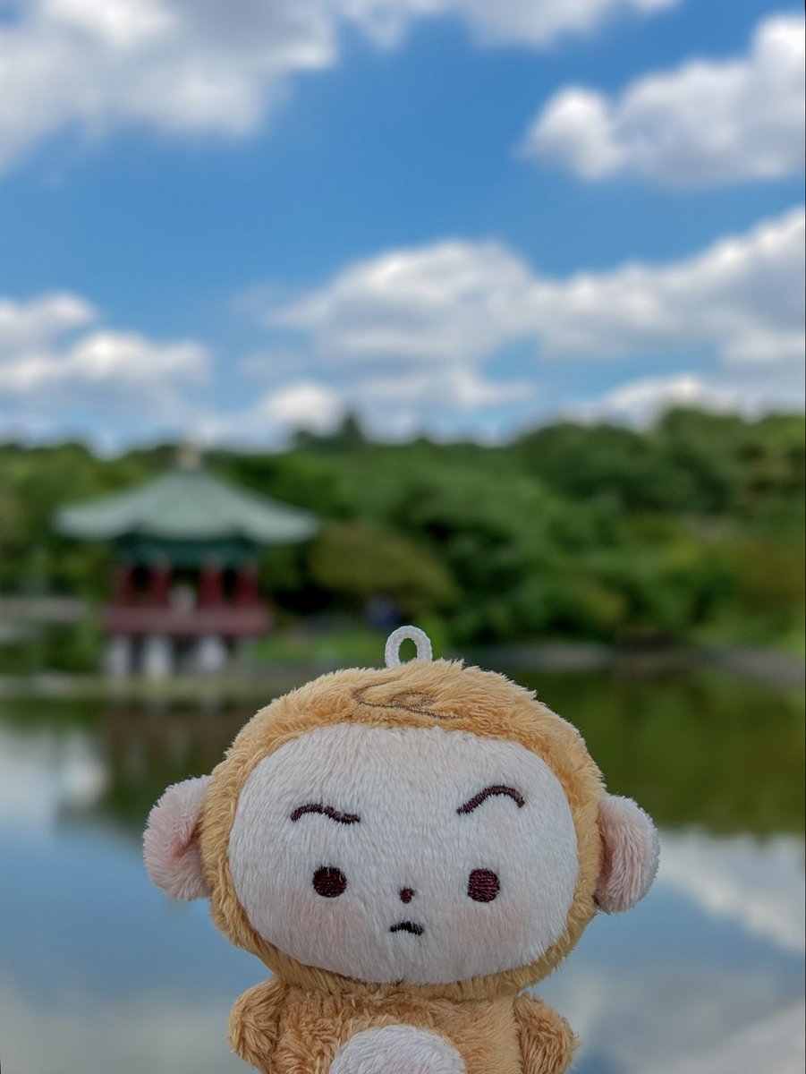 53bie's tweet photo. #보들보들_끼앤끼
볼빨간 끼끼(˶‾᷄ ⁻̫ ‾᷅˵) https://t.co/49jxaX2Lsh