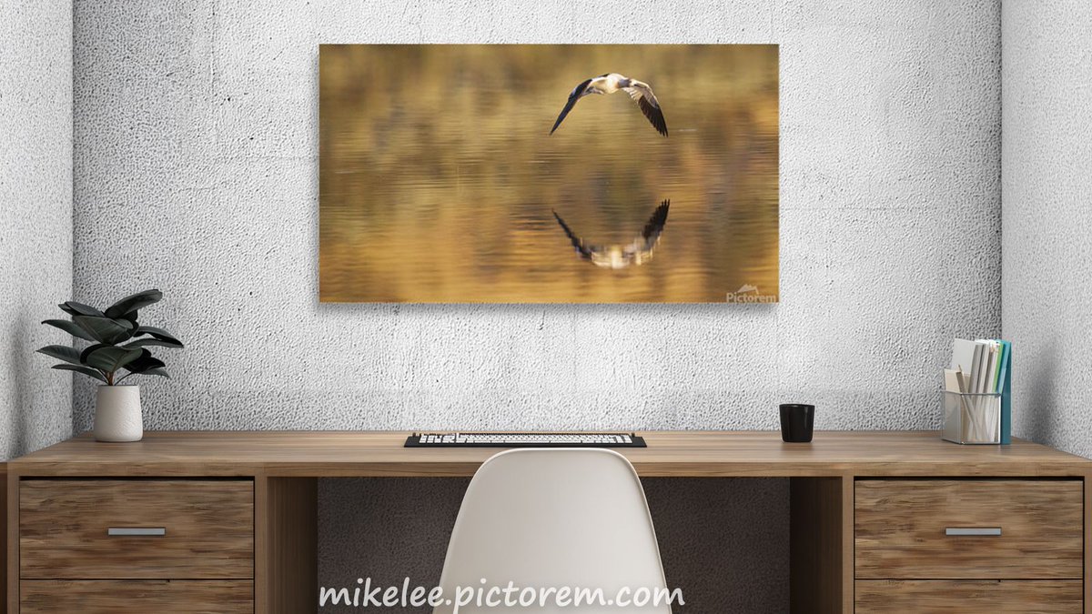 tpeakphotos tweet picture