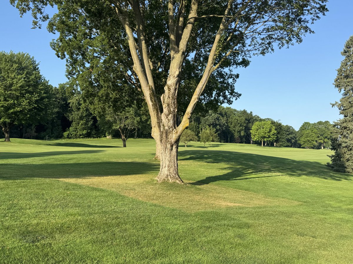 GLCCTurf tweet picture