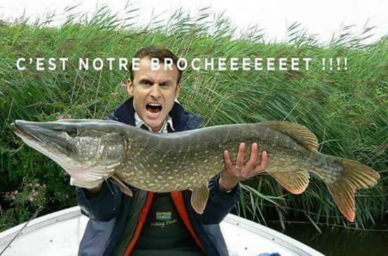 FallenAngelBack's tweet photo. @GabrielAttal Quel dommage que tu n'es pas été 1er ministre ! #OhWait #DuConLaJoie https://t.co/TjU7b9duqt