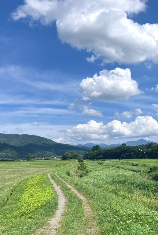 tonomuseum's tweet photo. 夏空へ続く道 https://t.co/99q2e1wiIw