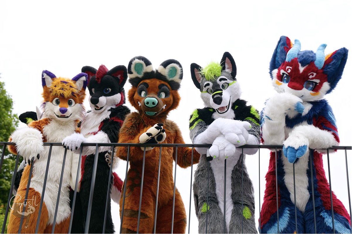 kaeptnflips's tweet photo. POV: the animals have spotted you!
@BFL_Con  photo by gustl https://t.co/PbajpqRZZL