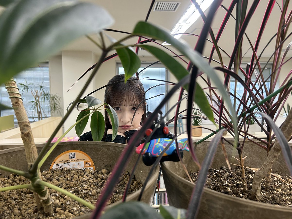 namarasonymusic's tweet photo. ／
明日の #ちゃんぐま通信
⏰7/3(金)20:40頃～
📻 AIR-G' #イマリアル
💜#乃木坂46 #金川紗耶 のイマレコ！
＼ 
明日は‼️
真夏の全国ツアー北海道公演前日SP‼︎🌻

お聴き逃しなく👀🎶

#金川紗耶1st写真集
#好きのグラデーション 発売中📚🎀
＠saya_1stphoto
 #radiko 
https://t.co/q9K0QuIegg https://t.co/chcKJL3PEH
