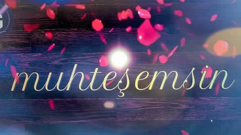 aslanseken01's tweet photo. @selin986638 https://t.co/8O13C68BXQ
