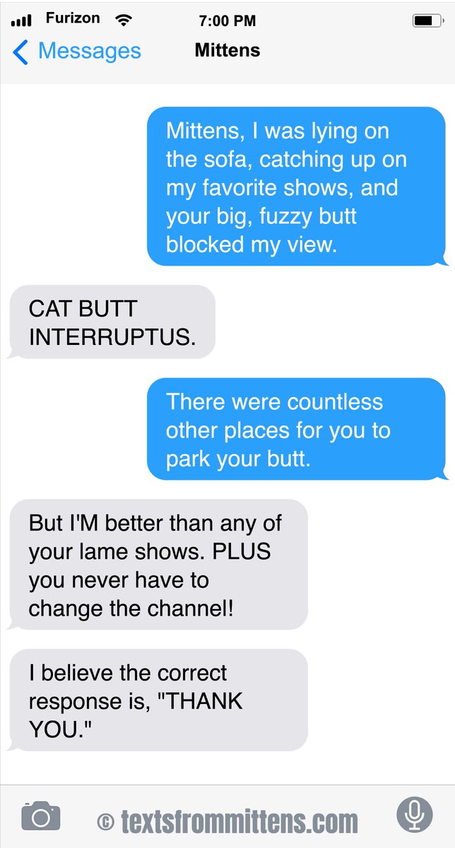 TextFromMittens tweet picture
