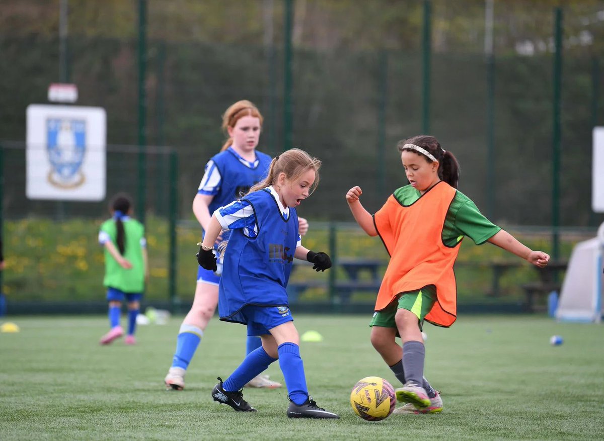 Sheffield Wednesday Community tweet media