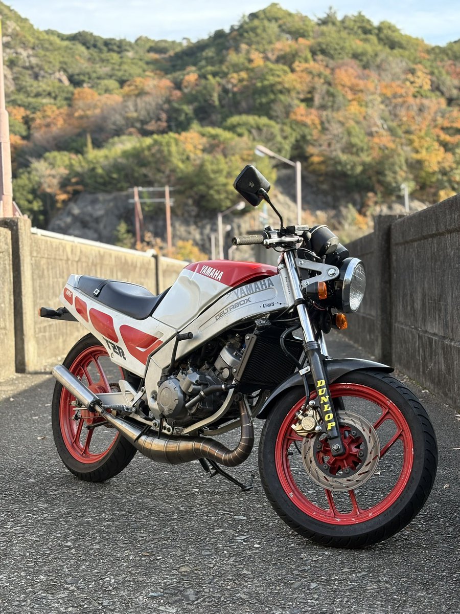 LEevo7RS's tweet photo. ミラーの形大事 https://t.co/NgcngxewbD