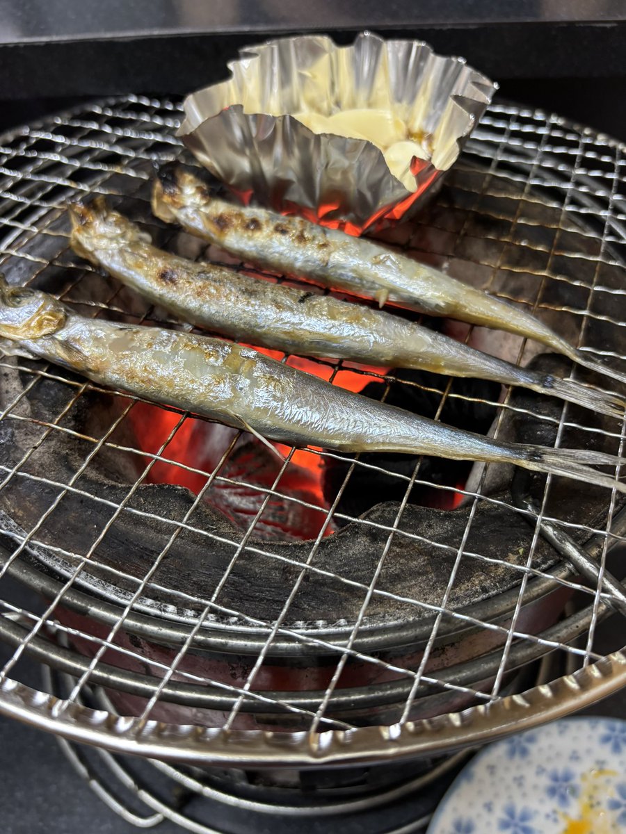 N2alcoholic's tweet photo. 始めました https://t.co/nZbl88oI0I