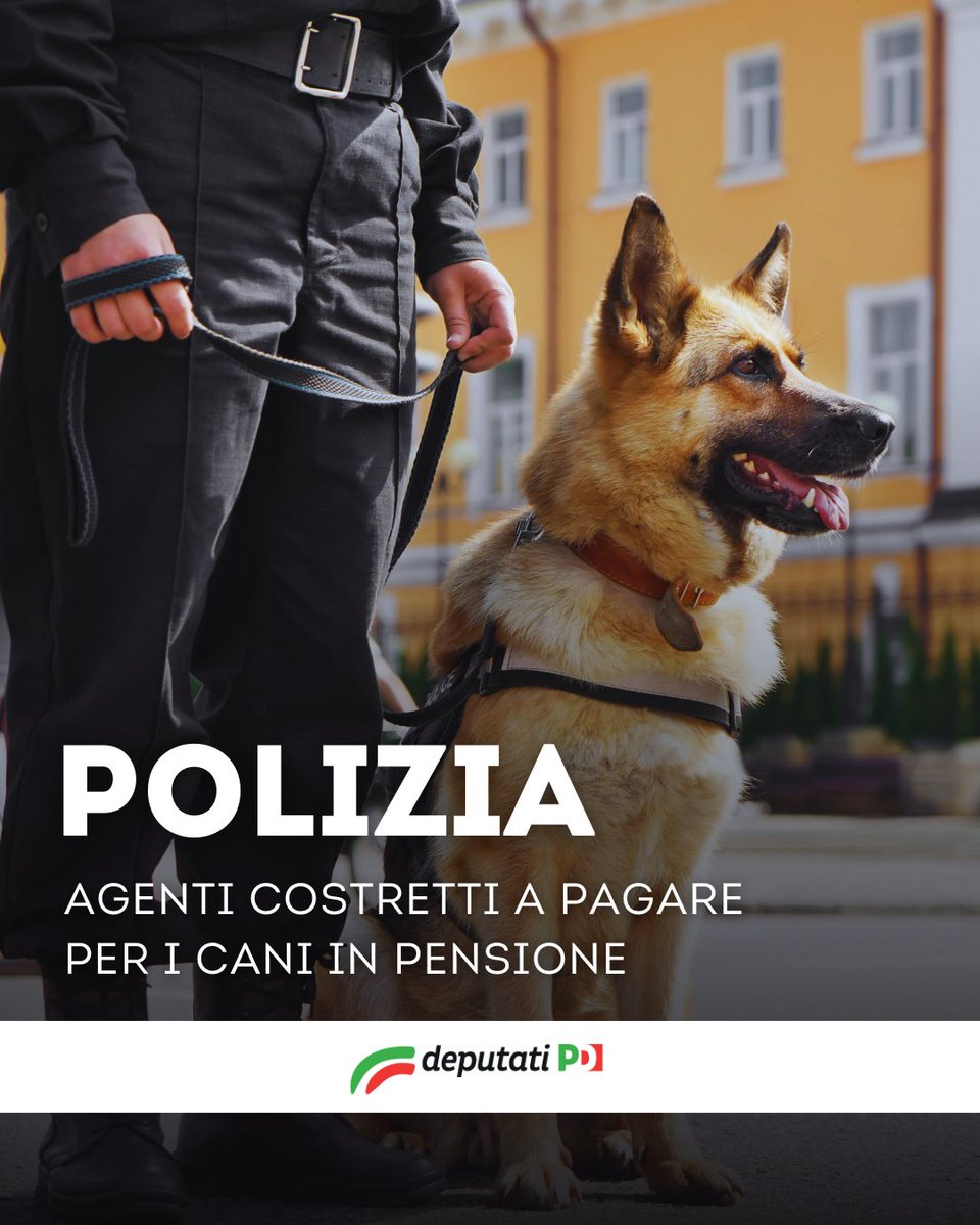marcosimiani's tweet photo. Se fossero confermate le notizie, ci troveremmo di fronte all'ennesima dimostrazione della distanza tra la propaganda del governo e la realtà.
-> https://t.co/4ukcdSNsHx
#Polizia #Cani #Cinofilo #MarcoSimiani #DeputatiPD https://t.co/B9XFS4QIBt