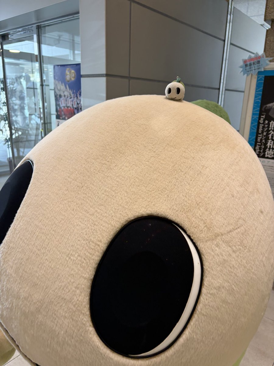 7373suke's tweet photo. なみすけonなみすけ https://t.co/Fpvt9W9hj3