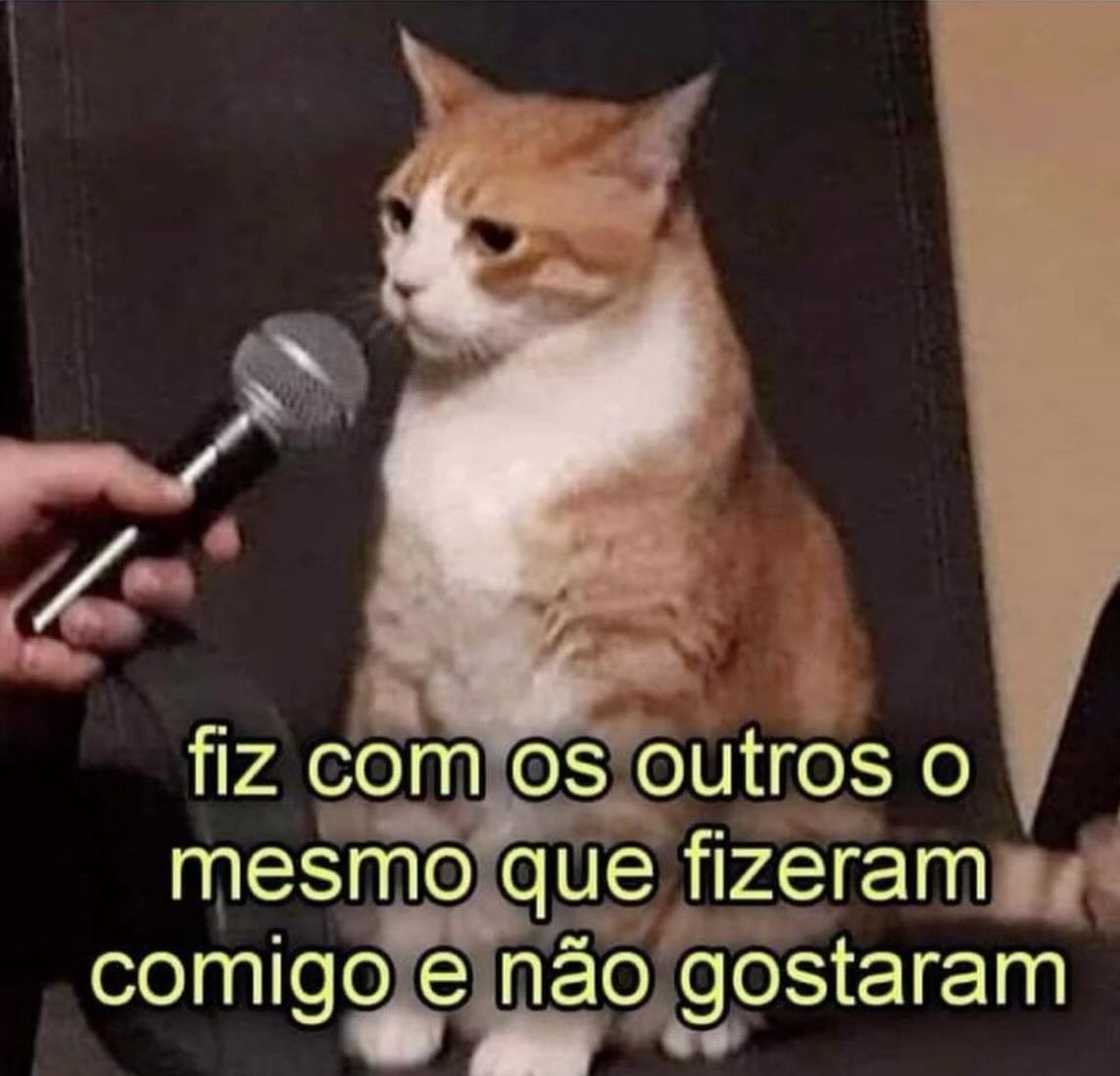 daniel_molivei's tweet photo. não tendi https://t.co/ijQkNzJFVg