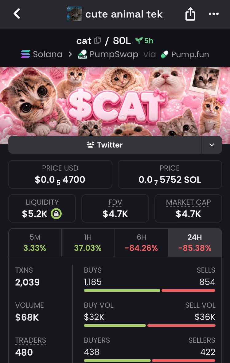 xeedaine's tweet photo. We’re in cat meta. And this is cute animal tek. I feel this is good. Gamble $cat

6yvEyLV6JyRQq1Jsm2Ys7iEb6pDtkqi6RygycyiXpump https://t.co/LEyr0ywvlc