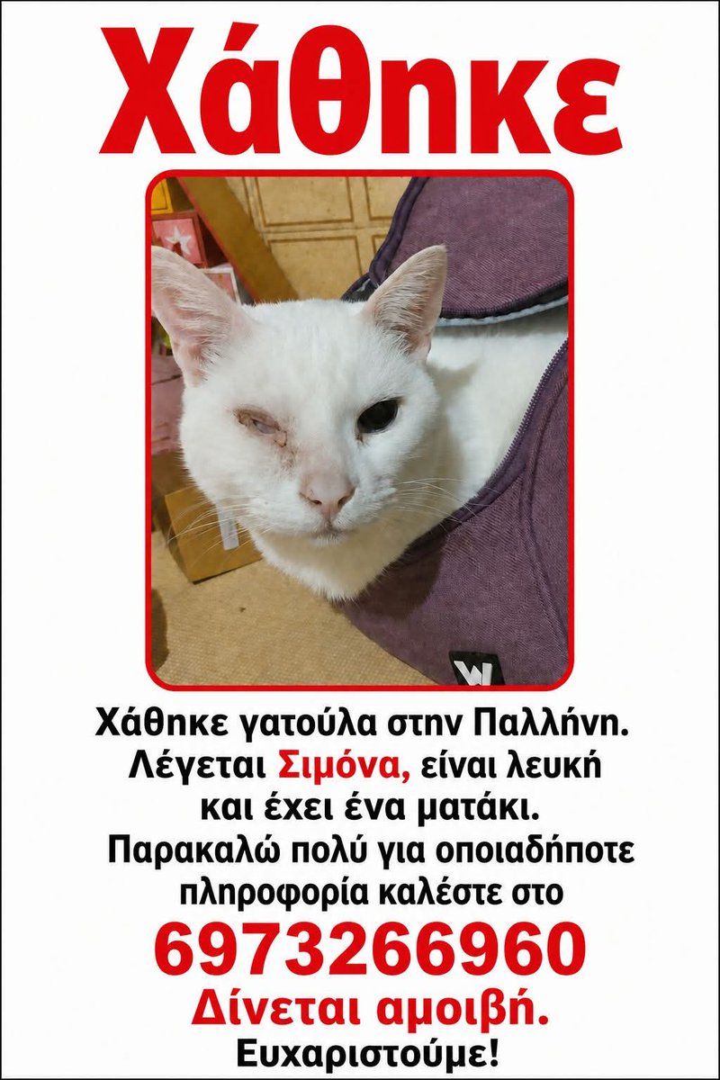 KatKatPt's tweet photo. 🆘️🆘️🆘️
Χάθηκε η γατούλα στην Παλλήνη 
Λέγεται Σιμονα,είναι λευκή κ έχει ενα ματάκι 
Για οποιαδήποτε πληροφορία καλέστε άμεσα στο τηλ 
Rt 🙏 🙏 🙏 https://t.co/9IjxxMmnzS