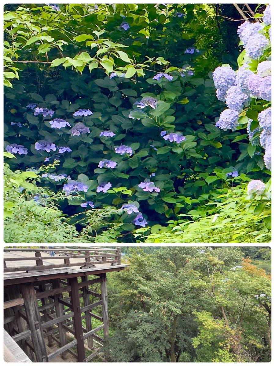 sharpon13's tweet photo. 長谷寺へ。また是非参拝したいです。

#長谷寺　#奈良 https://t.co/4zqfJ5ps9K