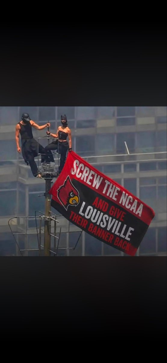 Cardsgirl8's tweet photo. 🤣🤣 https://t.co/GKRo4g0ZjA
