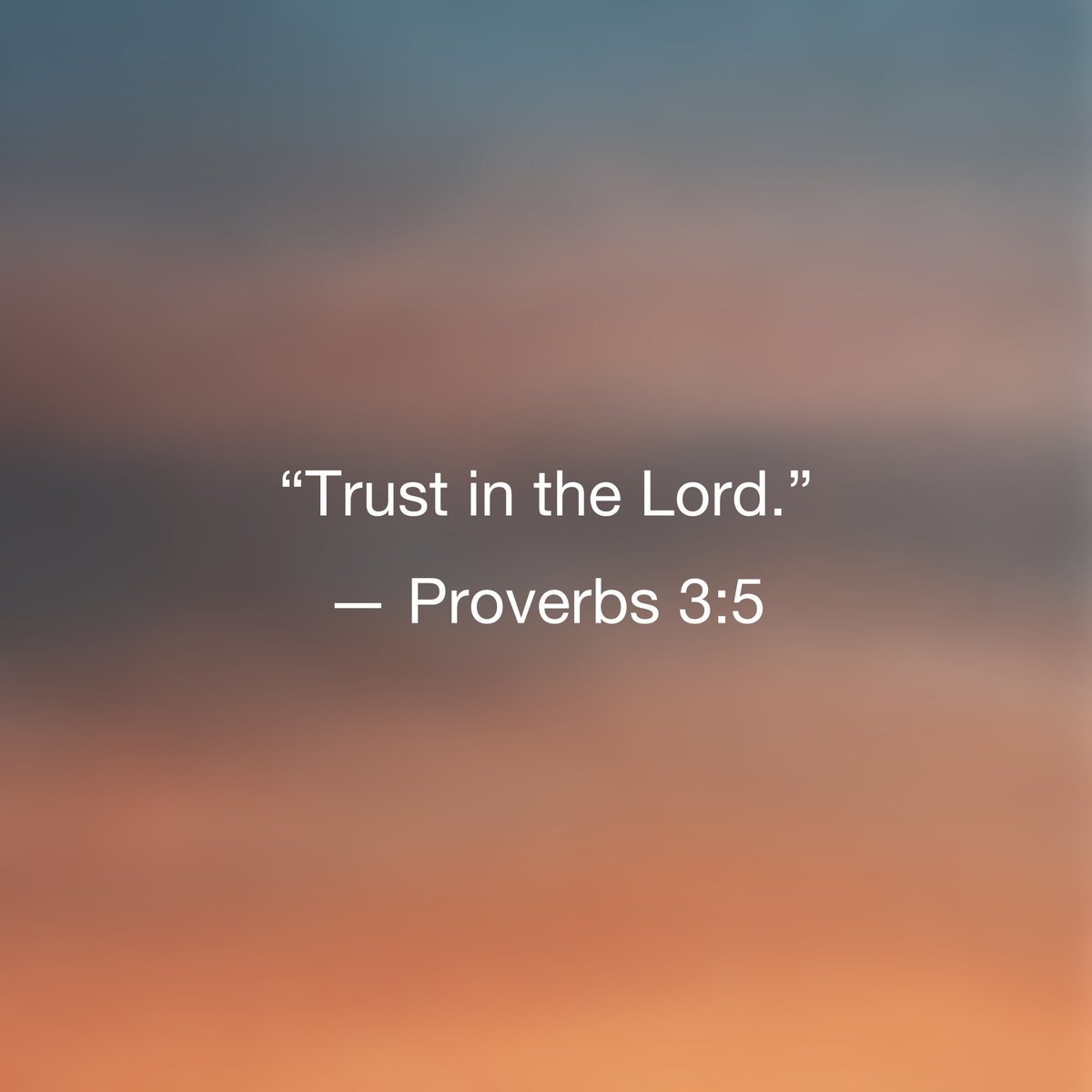 Richard_gh1's tweet photo. Proverbs 3:5 https://t.co/Hs6zT1QIr1