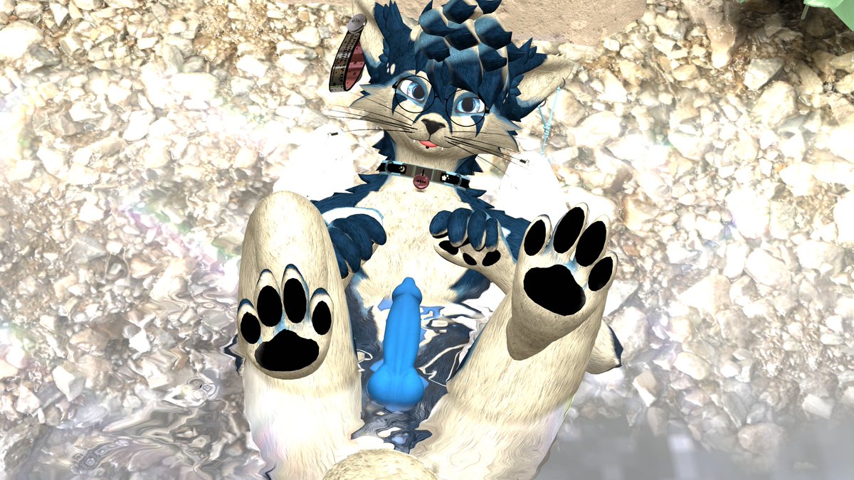 AkieWolfie's tweet photo. This puppy wants your attention >w<

[Ignore Tags]
#FurryNSFW #VRChatERP #VRChatNSFW #Lewdfurry #nsfwtwt #yiff #gayfurry #furry #gay #PrettySubWoofer https://t.co/r1ps8oCP40